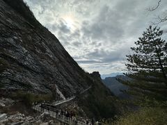 -朱雀国家森林公园