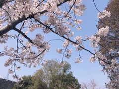-南京城墙景区