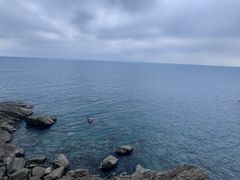 -广东惠东海龟国家级自然保护区