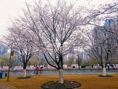 -西北湖绿化广场