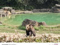-杭州野生动物世界