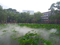-四川大学(望江校区)
