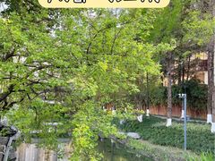 -铁像寺水街