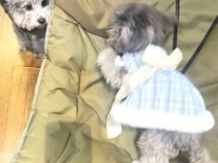 -观桥阁(锦溪店)