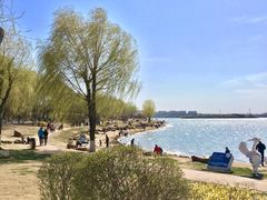 -丁香湖公园