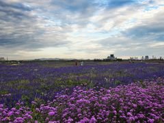 -赛汗塔拉风情园
