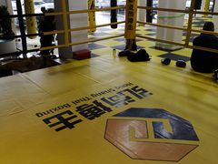 -成泰格斗(环球商业广场店)