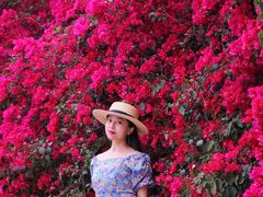 -厦门国家会计学院