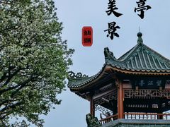 -中山公园