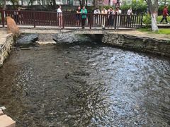 -水磨沟公园
