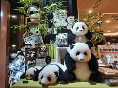 -轩客会(熊猫书店)