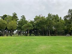 -深圳湾公园(南山区)