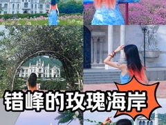 -玫瑰海岸文化旅游度假区