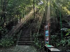 -七仙岭温泉国家森林公园