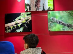 -上海昆虫博物馆