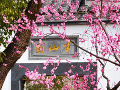-梅花山(明孝陵内)