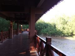-大亚湾红树林城市湿地公园