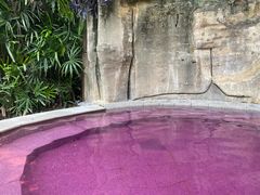 -天赐温泉