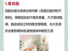 -申普宠物医院·心脏介入·心血管微创(总院)