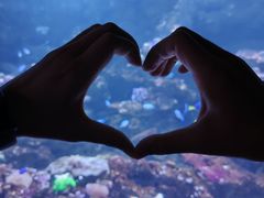 -南昌融创海世界