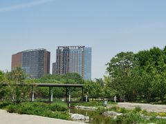 -大望京公园
