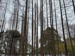 -瀛洲公园