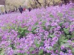 -江苏三台山国家森林公园