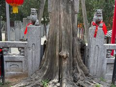 -关林