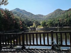 -黄陂区野村谷景区