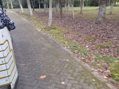 -上海海湾国家森林公园