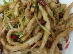 干煸鱿鱼-北戴河庆山饭店·海鲜砂锅粥(北戴河黑石路店)