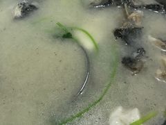 -牛恒濑粉