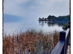 -阳宗海湿地