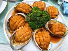 -澳门环岛游湾仔码头