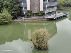 -青枫公园