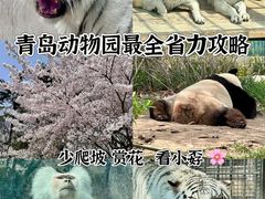 -青岛动物园