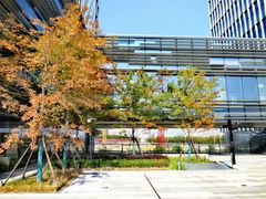 -上海共青森林公园