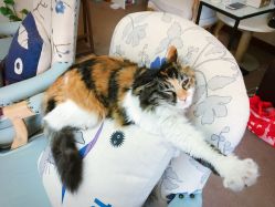 -尚美日式美甲美睫工作室