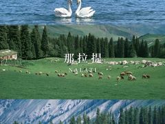 -赛里木湖风景名胜区