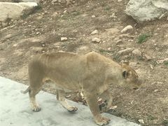 -西安秦岭野生动物园