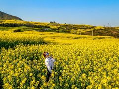 -牛街螺丝田
