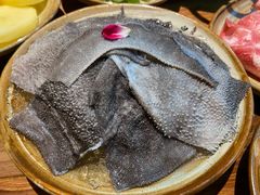 鲜毛肚-白乐天毛肚火锅馆(解放碑店)