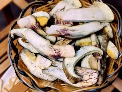 白葱菌-山菌美食苑(振兴路店)
