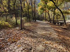 -金龙寺国家森林公园