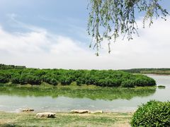 景点-丁香湖公园