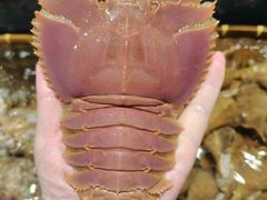 -龙宴海鲜城(经中路店)