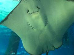 -北戴河圣蓝海洋公园