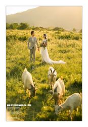 -巴黎婚纱摄影工作室