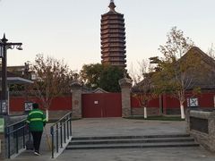 -西海子公园
