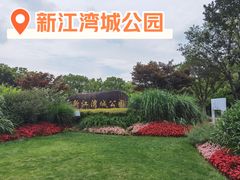 -新江湾城公园